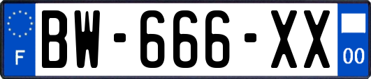 BW-666-XX