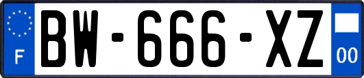 BW-666-XZ