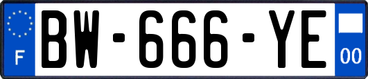 BW-666-YE