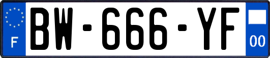 BW-666-YF