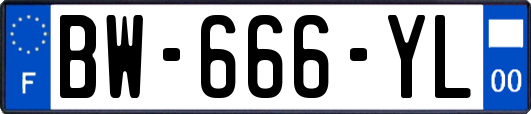 BW-666-YL