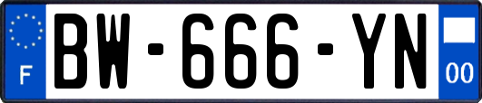 BW-666-YN