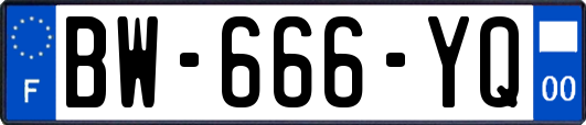 BW-666-YQ