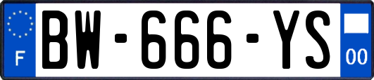 BW-666-YS
