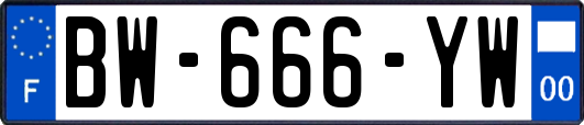 BW-666-YW