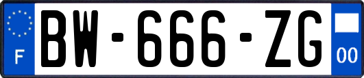 BW-666-ZG