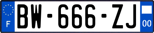 BW-666-ZJ