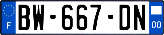 BW-667-DN