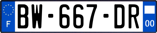 BW-667-DR