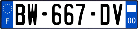 BW-667-DV