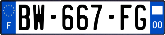 BW-667-FG