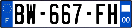 BW-667-FH