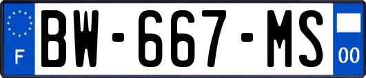 BW-667-MS