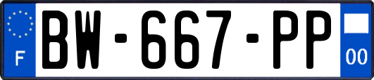 BW-667-PP