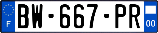 BW-667-PR
