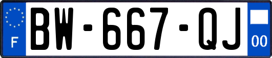 BW-667-QJ