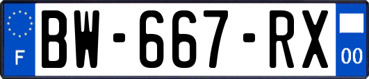 BW-667-RX