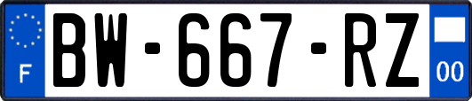 BW-667-RZ