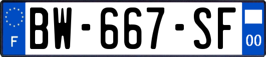 BW-667-SF