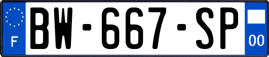 BW-667-SP