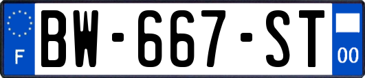 BW-667-ST