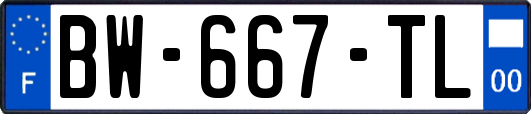 BW-667-TL