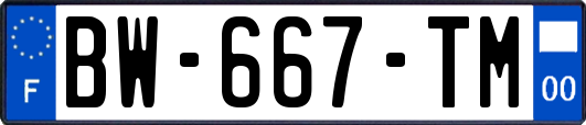 BW-667-TM