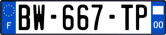 BW-667-TP