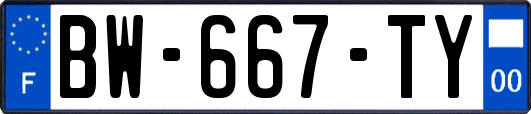 BW-667-TY