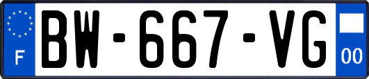 BW-667-VG