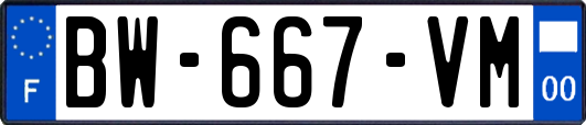 BW-667-VM