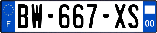 BW-667-XS