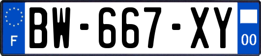 BW-667-XY