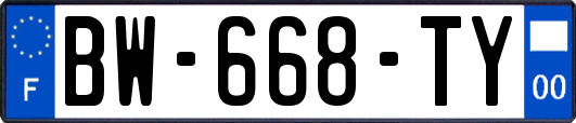 BW-668-TY