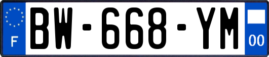 BW-668-YM