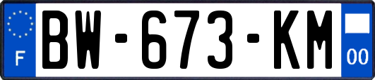 BW-673-KM