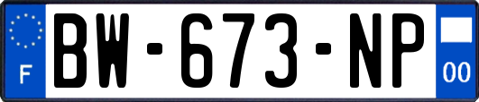 BW-673-NP
