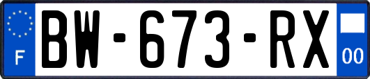 BW-673-RX