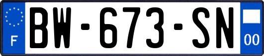 BW-673-SN
