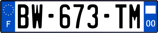 BW-673-TM