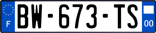 BW-673-TS