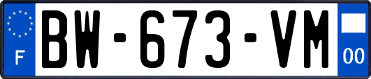 BW-673-VM