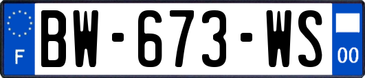 BW-673-WS