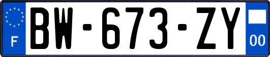 BW-673-ZY