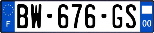 BW-676-GS