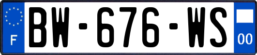 BW-676-WS