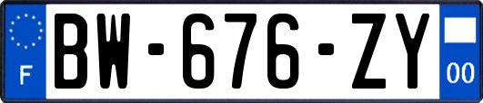 BW-676-ZY