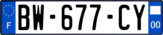 BW-677-CY