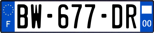 BW-677-DR