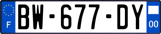 BW-677-DY